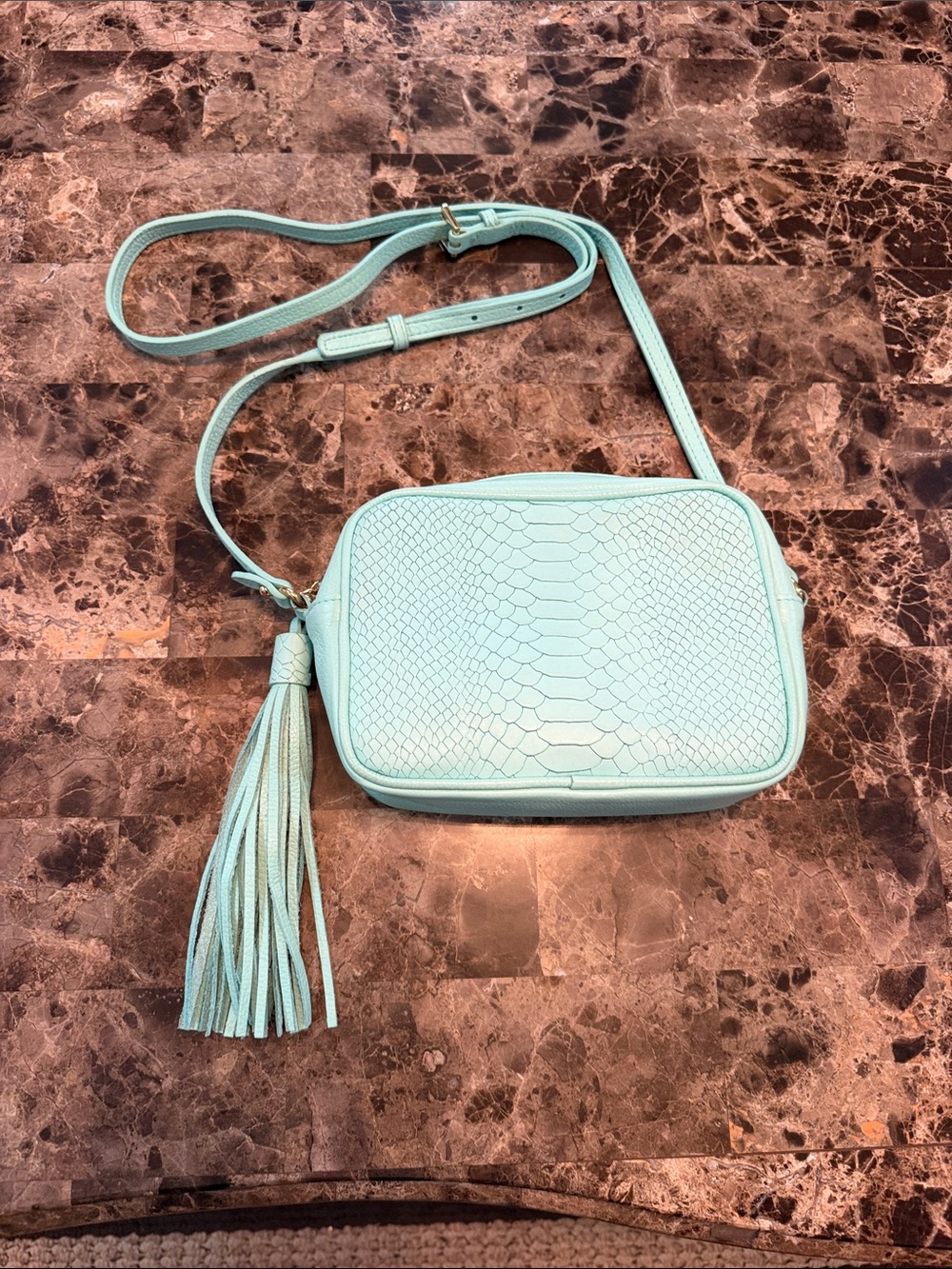GiGi New York Mint Green Embossed Snake Crossbody with Tassel